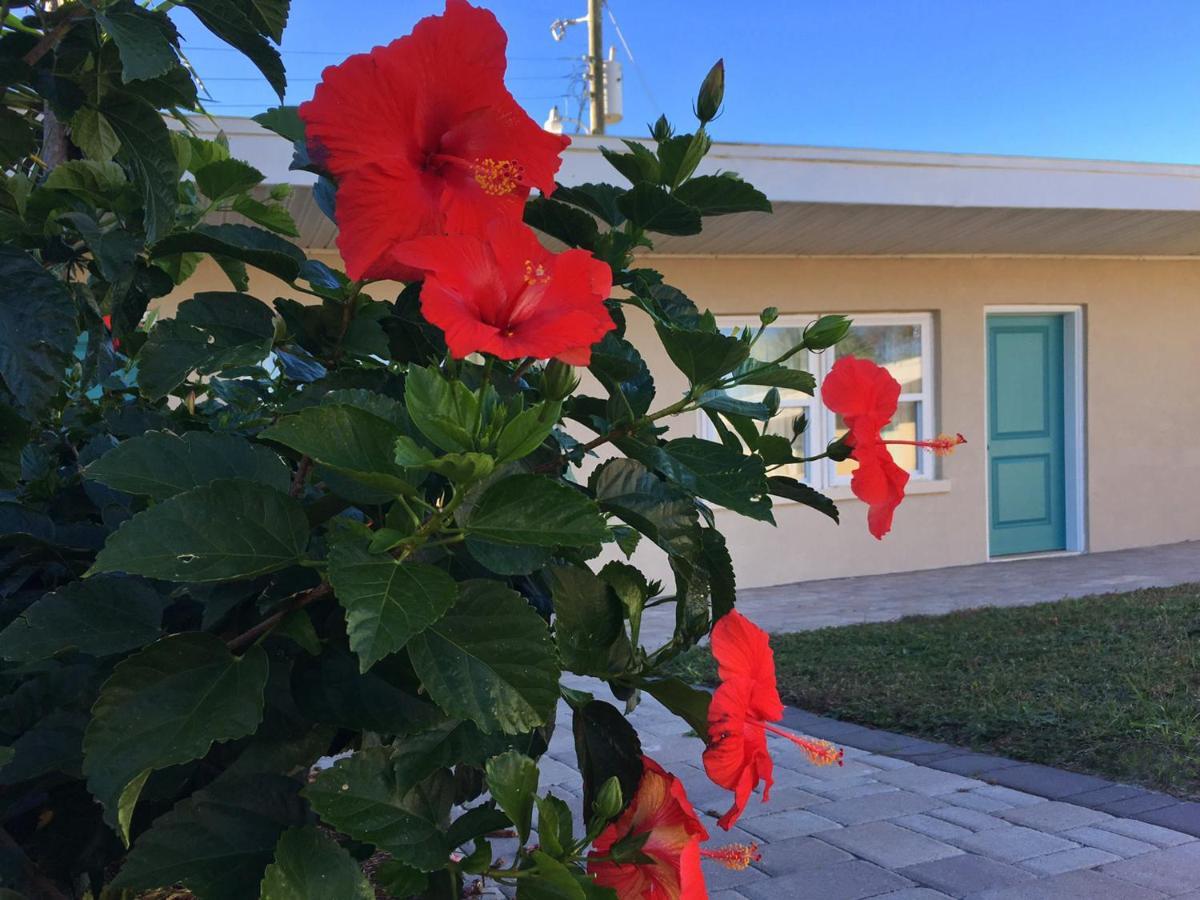 The Catalina Motel Лагуна Бийч Екстериор снимка